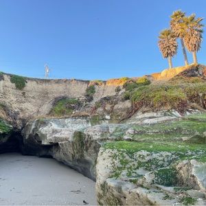 Meet your Posher, Fiona